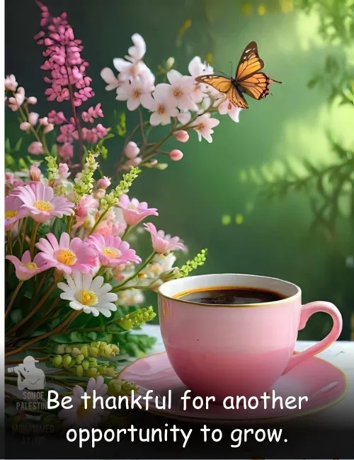 Be thankful for another opportunity to grow.