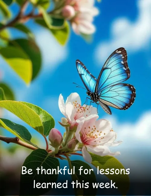 Be thankful for lessons learned this week.