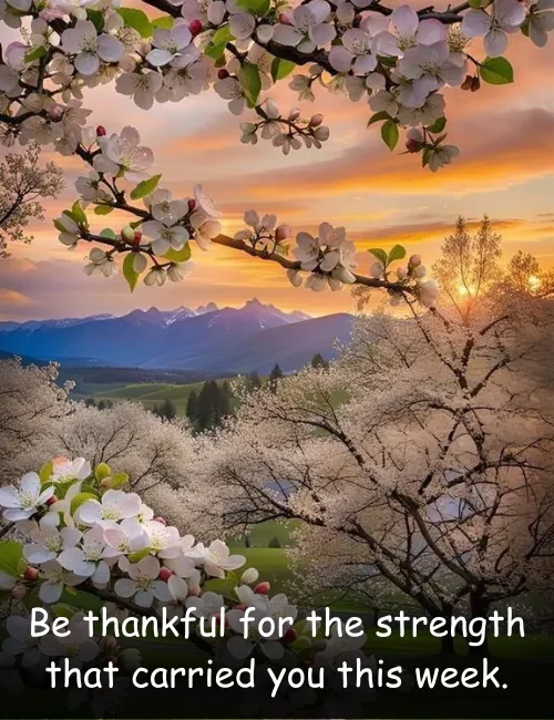 Be thankful for the strength that carried you this week.