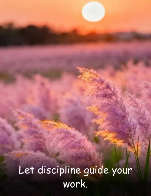 Let discipline guide your work.