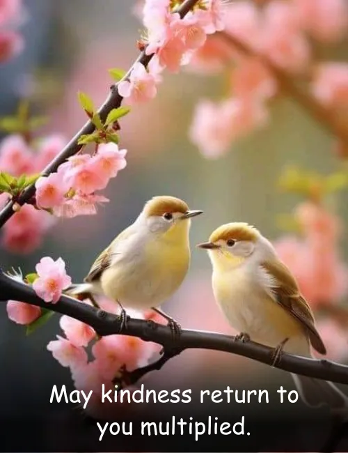 May kindness return to you multiplied.