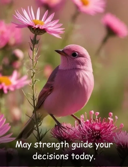 May strength guide your decisions today.