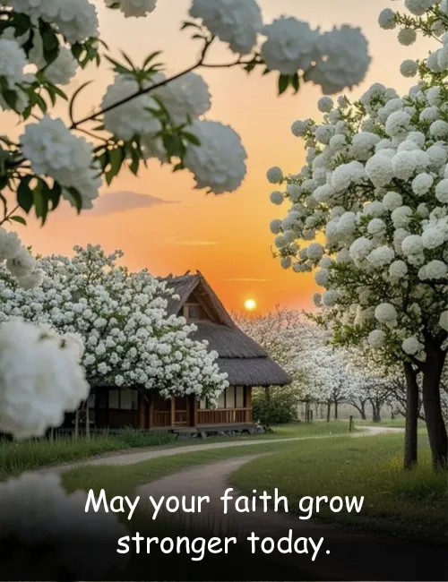 May your faith grow stronger today.