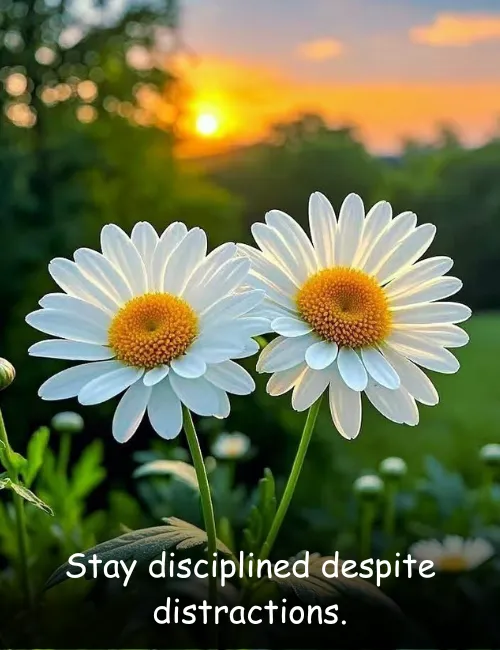 Stay disciplined despite distractions.