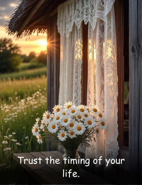 Trust the timing of your life.