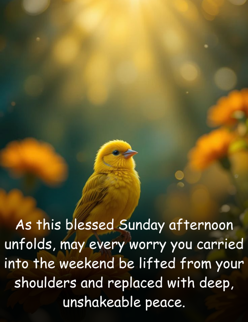As this blessed Sunday afternoon unfolds, may every worry you carried into the weekend be lifted from your shoulders and replaced with deep, unshakeable peace