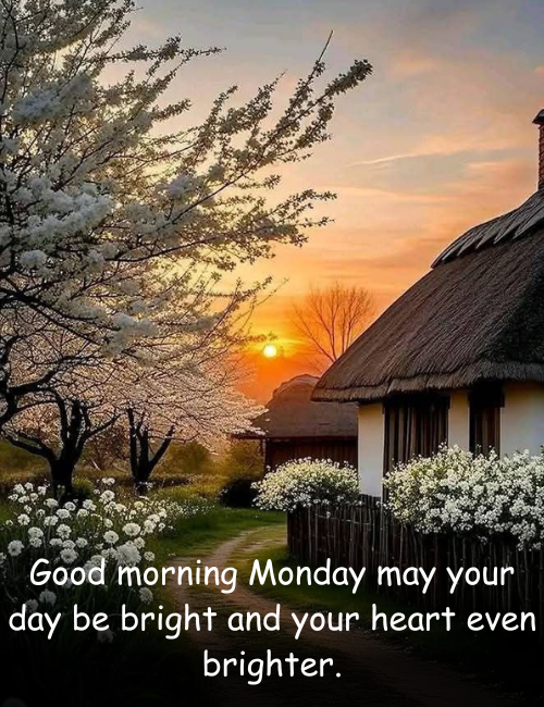 Good morning Monday may your day be bright and your heart even brighter