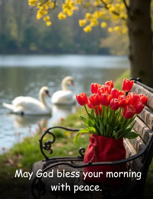  May God bless your morning with peace.
