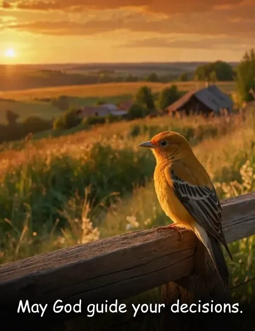  May God guide your decisions.