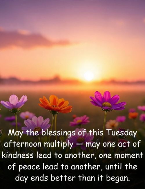 May the blessings of this Tuesday afternoon multiply — may one act of kindness lead to another, one moment of peace lead to another, until the day ends better than it began