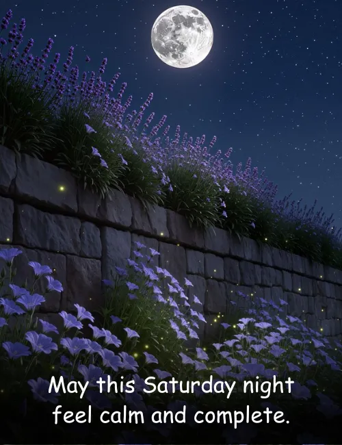 May this Saturday night feel calm and complete