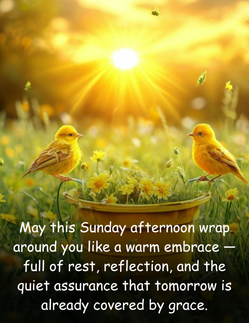 May this Sunday afternoon wrap around you like a warm embrace — full of rest, reflection, and the quiet assurance that tomorrow is already covered by grace