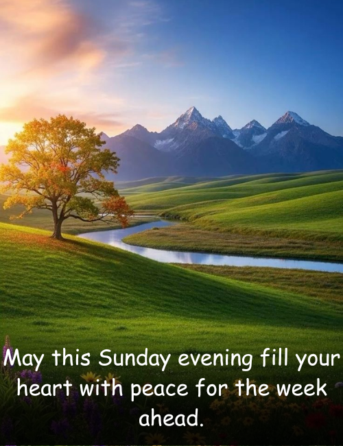 May this Sunday evening fill your heart with peace for the week ahead