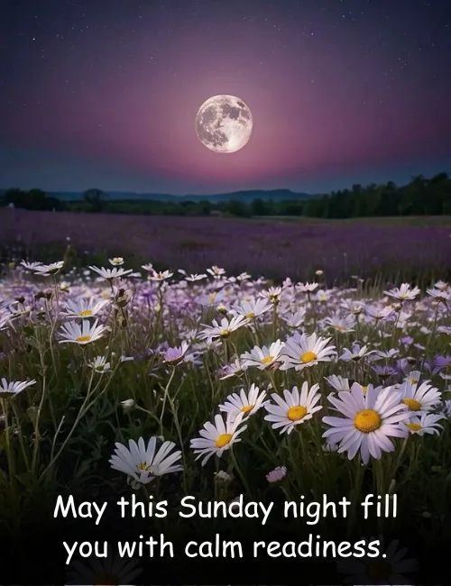 May this Sunday night fill you with calm readiness