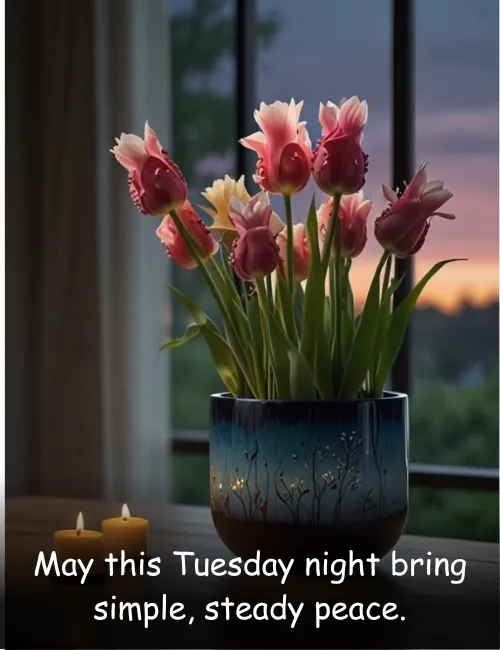 May this Tuesday night bring simple, steady peace