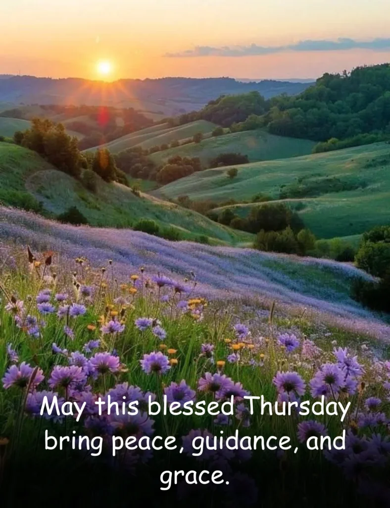 May your prayers today fill your heart with calm and trust.