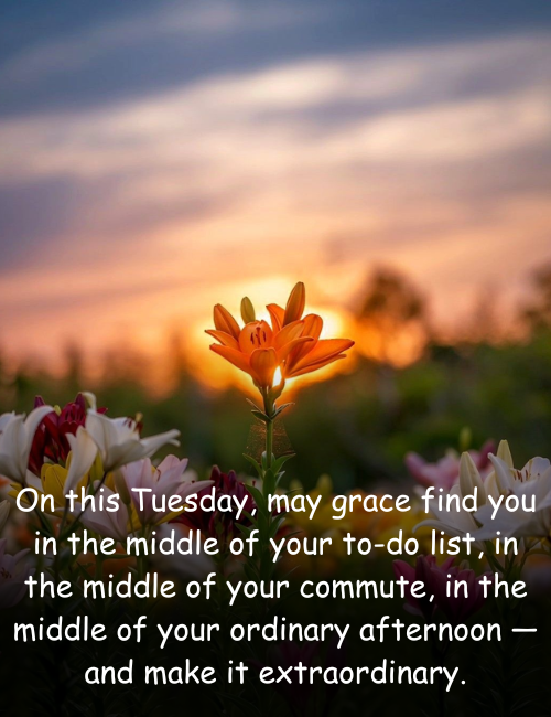 On this Tuesday, may grace find you in the middle of your to-do list, in the middle of your commute, in the middle of your ordinary afternoon — and make it extraordinary