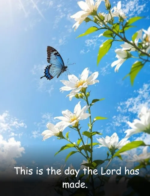 This is the day the Lord has made.