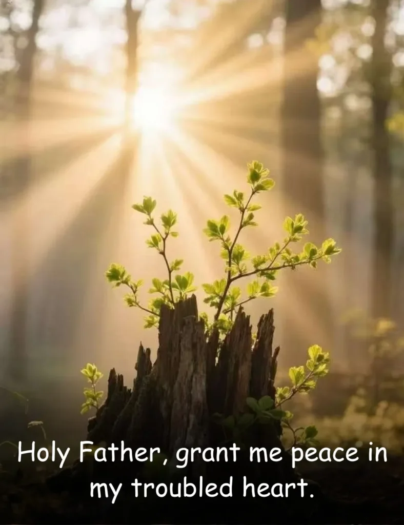 Holy Father, grant me peace in my troubled heart.