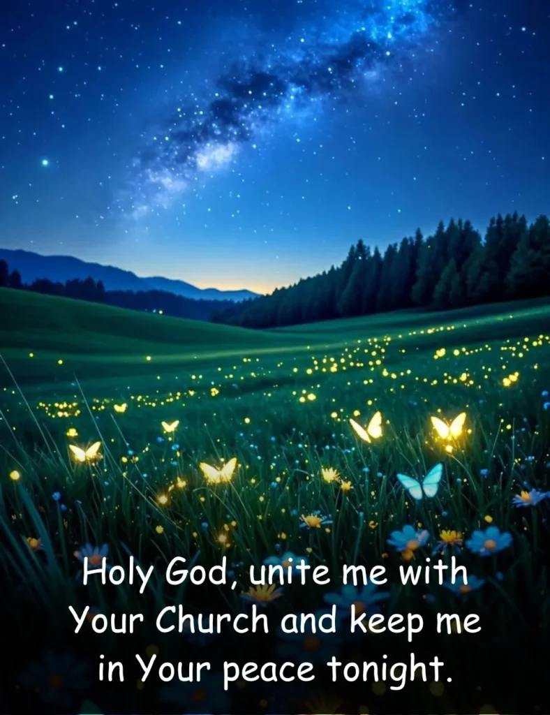 Holy God, unite me with Your Church and keep me in Your peace tonight.
