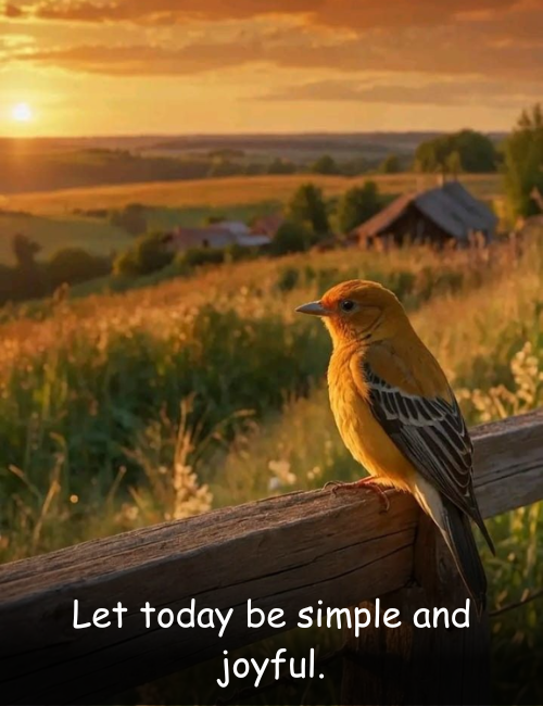 Let today be simple and joyful