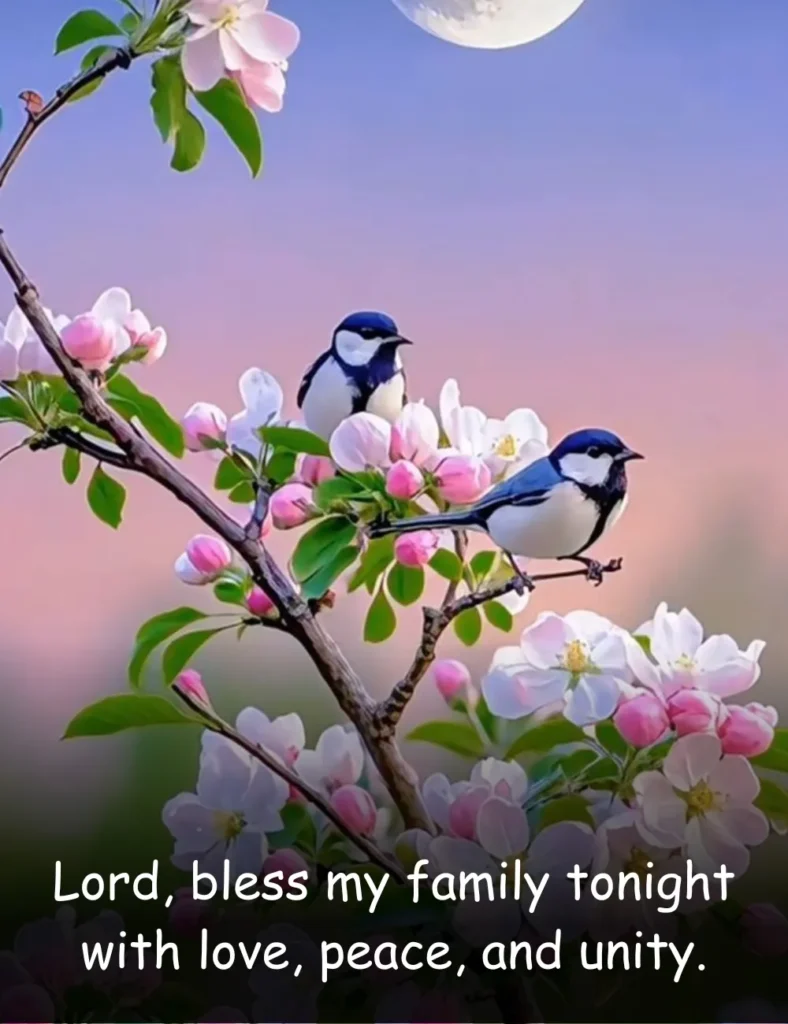 Lord, bless my family tonight with love, peace, and unity.