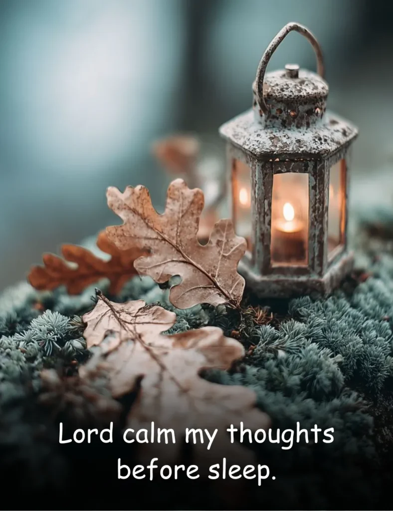 Lord calm my thoughts before sleep.