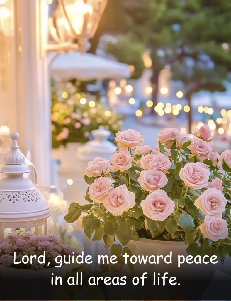 Lord, guide me toward peace in all areas of life.