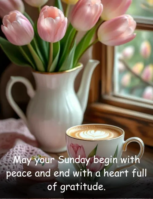May your Sunday begin with peace and end with a heart full of gratitude.