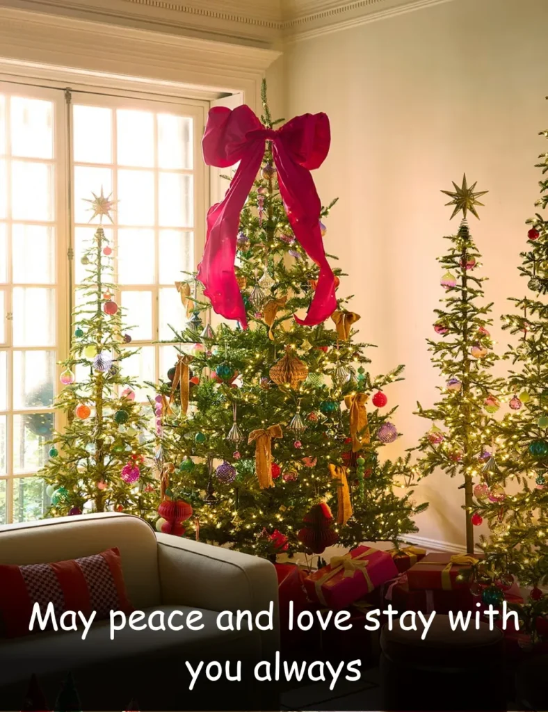 Meaningful Christmas Blessing Quotes of Hope