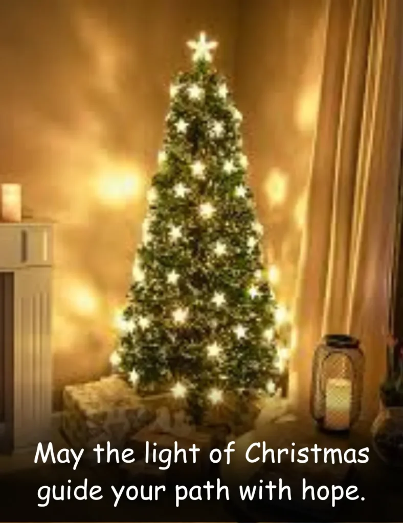 Meaningful Christmas Blessing Quotes of Hope