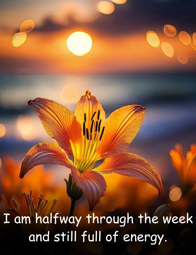 I am halfway through the week and still full of energy.