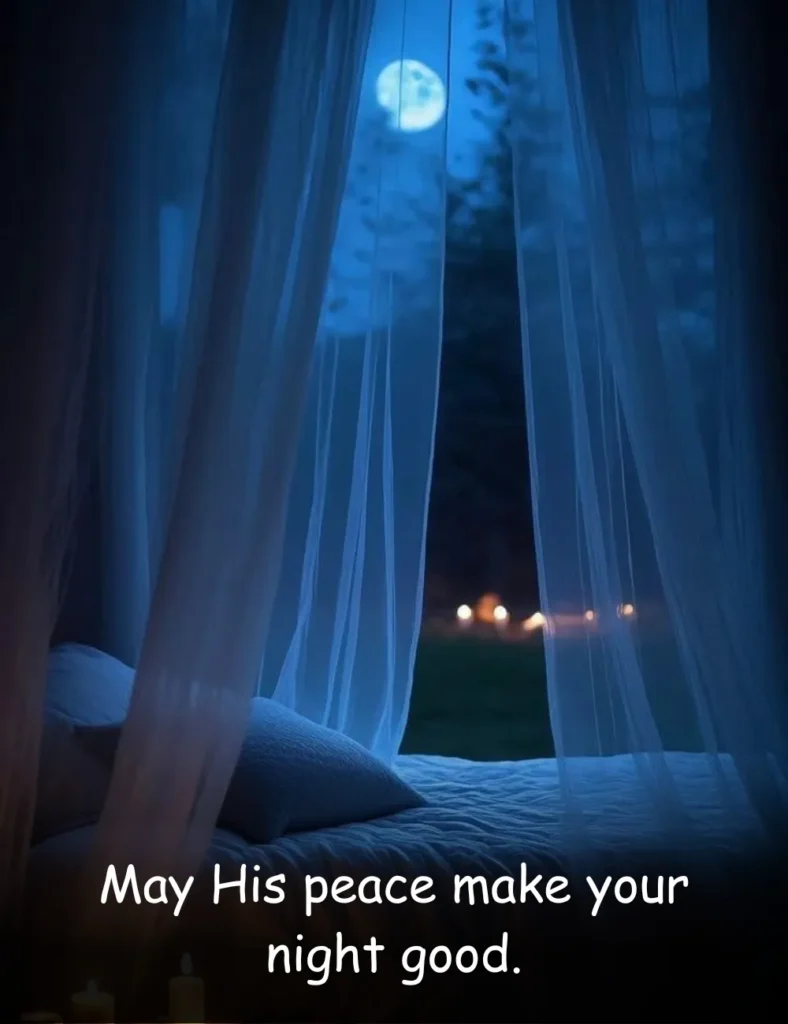May His peace make your night good.