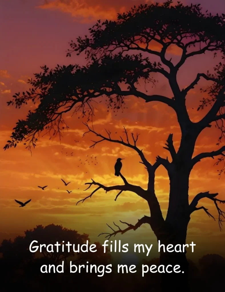 Gratitude fills my heart and brings me peace.