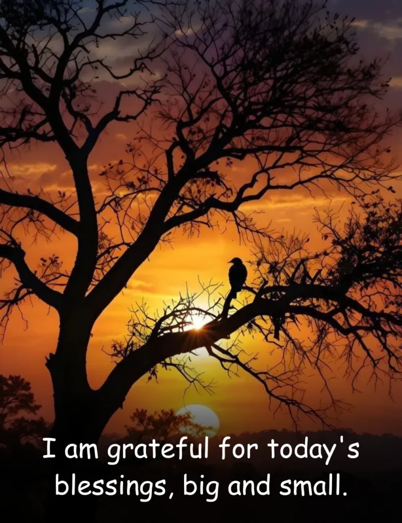 I am grateful for today's blessings, big and small.