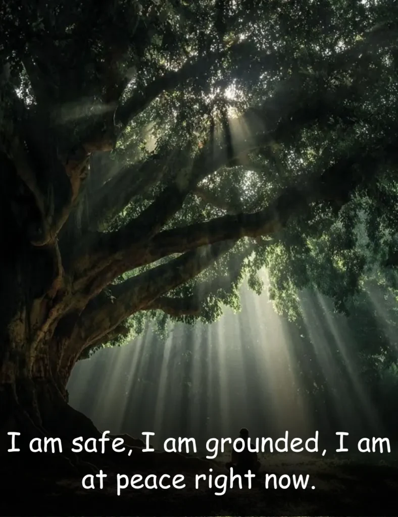 I am safe, I am grounded, I am at peace right now.