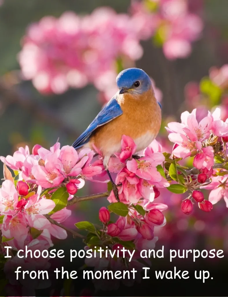 I choose positivity and purpose from the moment I wake up.