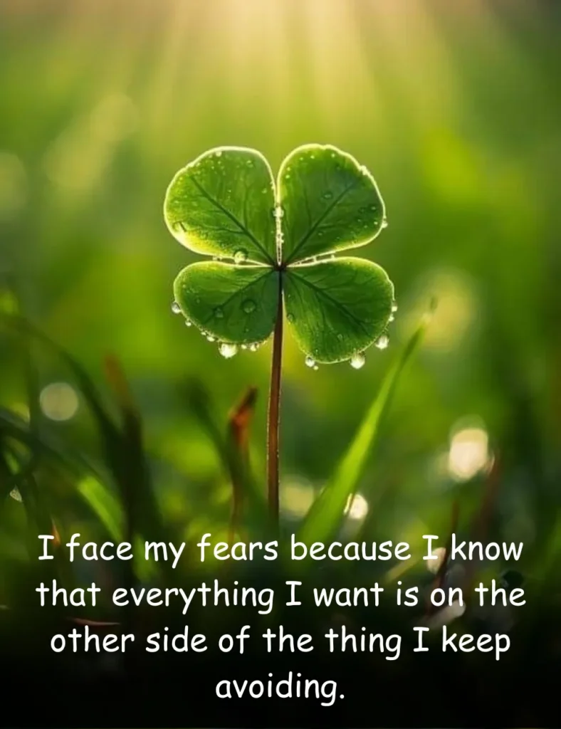 I face my fears because I know that everything I want is on the other side of the thing I keep avoiding.