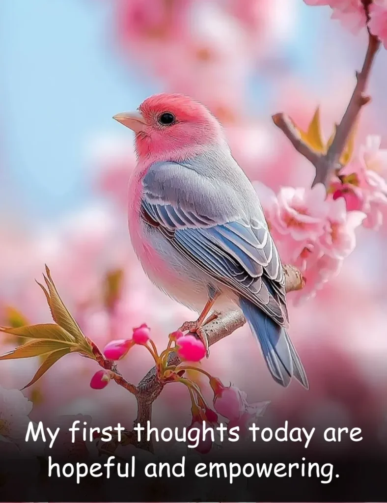 My first thoughts today are hopeful and empowering.