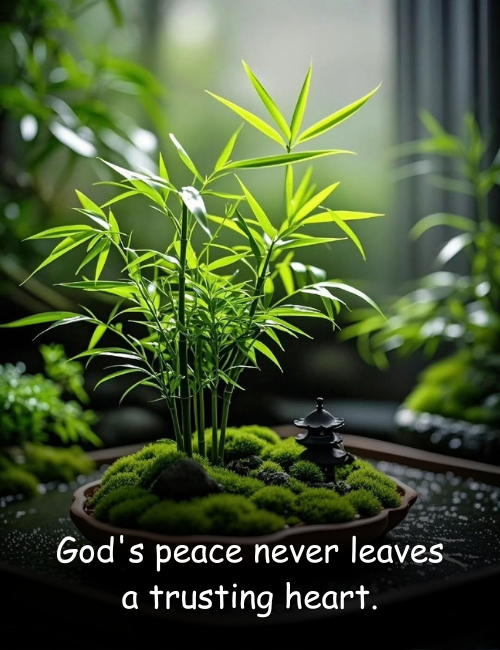 God's peace never leaves a trusting heart