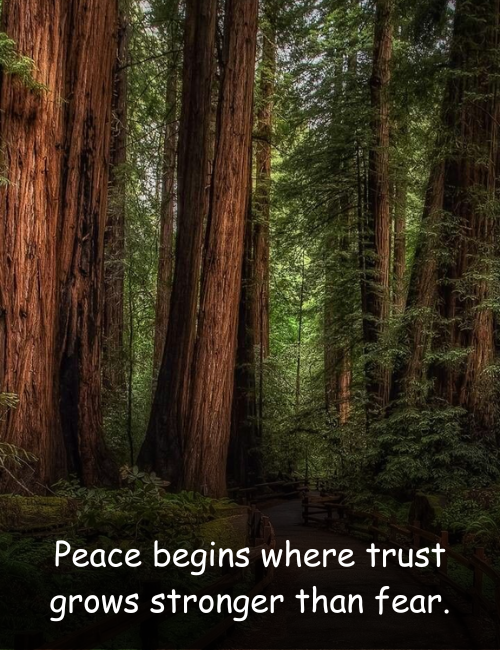 Peace begins where trust grows stronger than fear